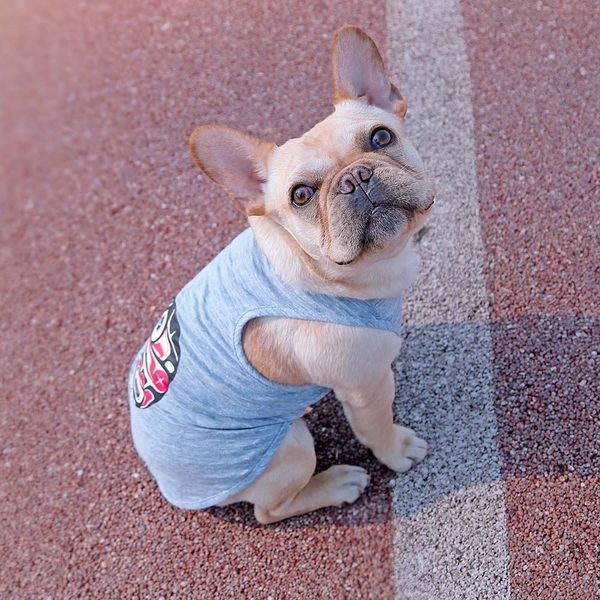 Värvilise trükiga puuvillane koerte topp