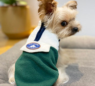 Sügis-talvine vest lukuga koertele