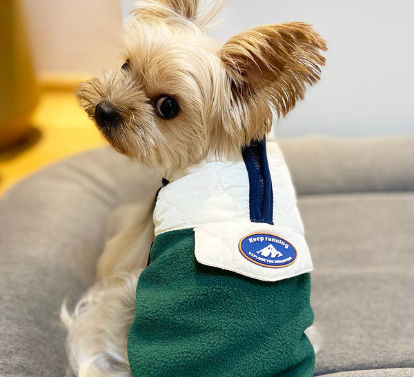 Sügis-talvine vest lukuga koertele