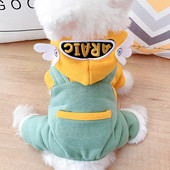 Moodne kapuutsiga ja taskuga jakk koertele