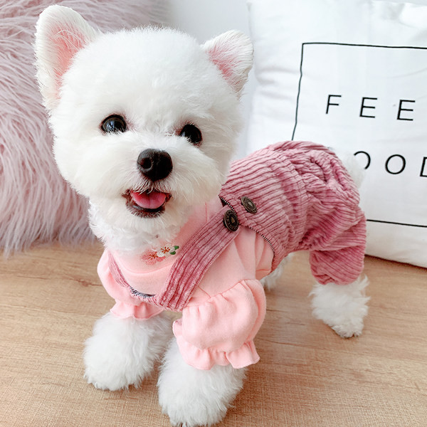 Kombinesoonid koerale kahes värvitoonis