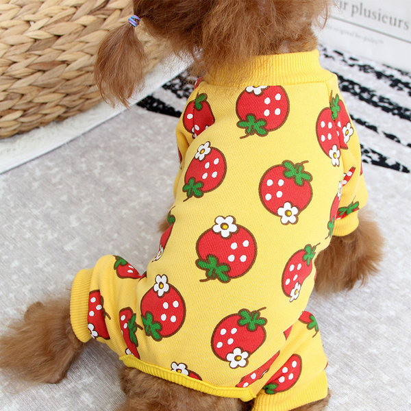 Haina pentru caini in doua culori cu aplicatii