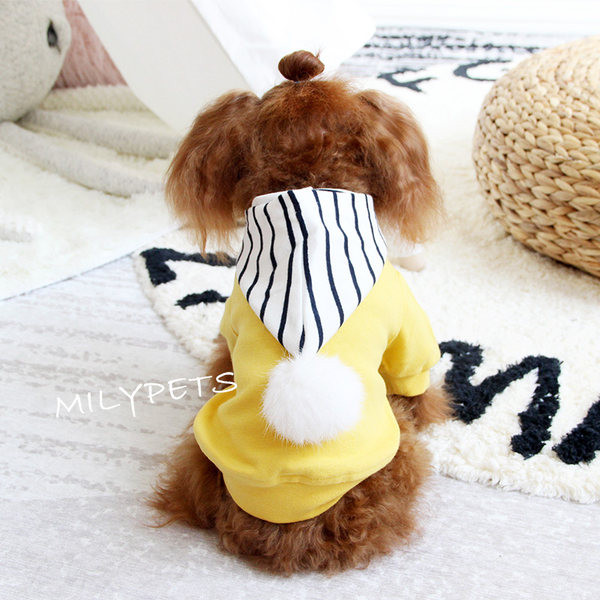 Kapuutsiga koeravest - voodriga või ilma