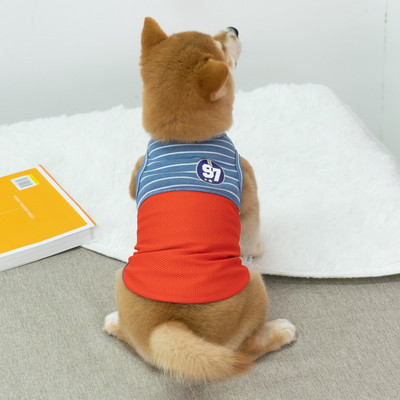 Koerariided - sobivad suveks