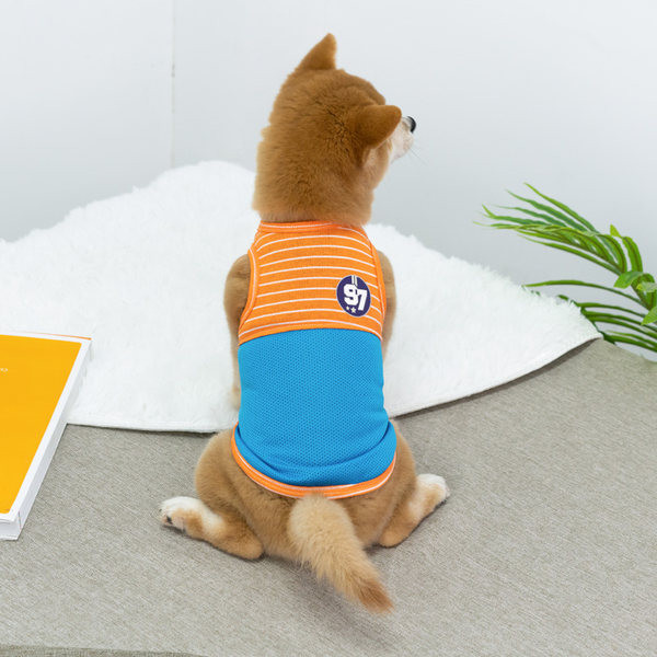 Koerariided - sobivad suveks