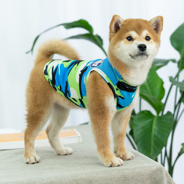Vesta colorata pentru caini in doua culori