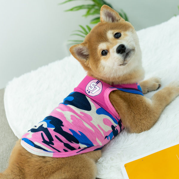 Vesta colorata pentru caini in doua culori