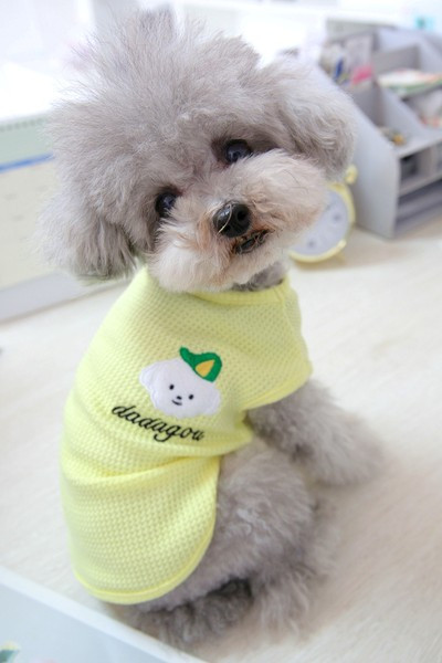 Tikandiga pluus koertele