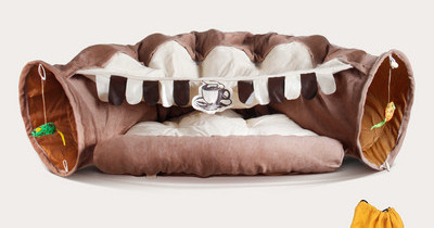 Katės tunelis su kačių lova