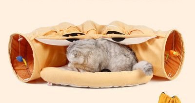 Katės tunelis su kačių lova