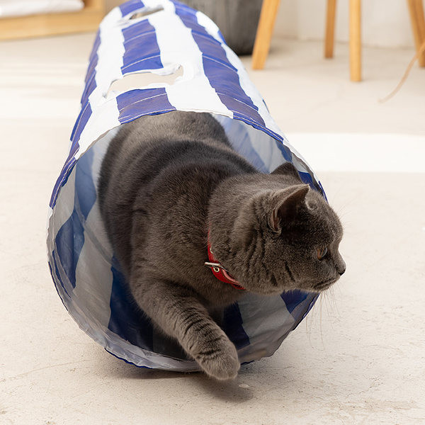 Tunelis katėms – įvairių dydžių