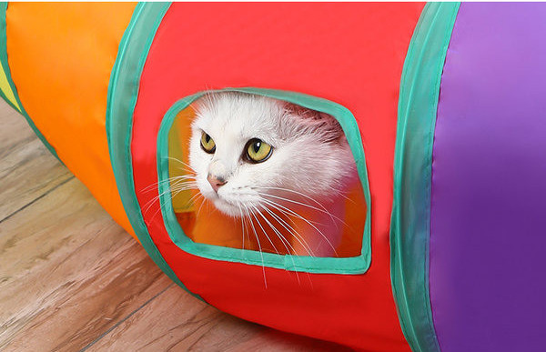 Kokkupandav kassitunnel - mitu mudelit