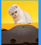 Kahe väljapääsuga tunnel kasside mängimiseks