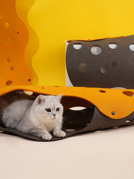 Kahe väljapääsuga tunnel kasside mängimiseks