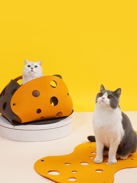 Kahe väljapääsuga tunnel kasside mängimiseks