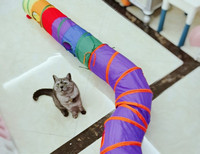 Kassi värvi tunnel mängimiseks