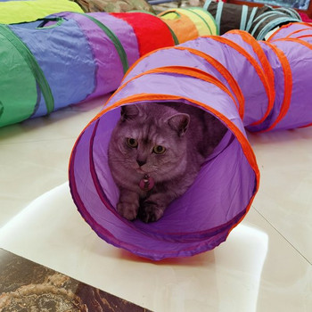Τούνελ χρώματος γάτας για παιχνίδι