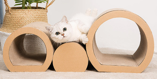 Lainepaberist kolme kritselduse komplekt kassidele