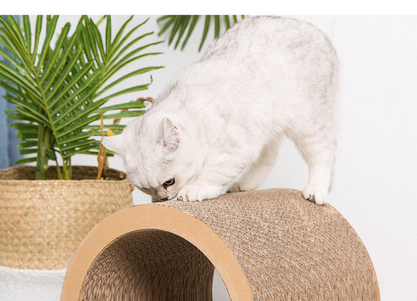 Lainepaberist kolme kritselduse komplekt kassidele