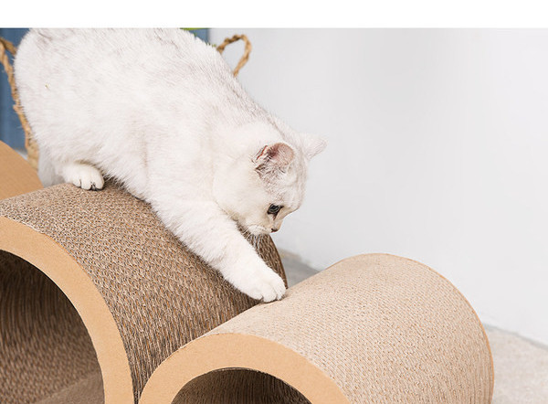 Lainepaberist kolme kritselduse komplekt kassidele