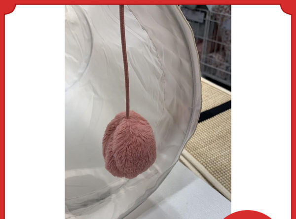 Mitme väljapääsuga kassitunnel