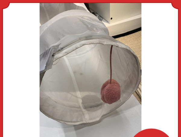 Mitme väljapääsuga kassitunnel