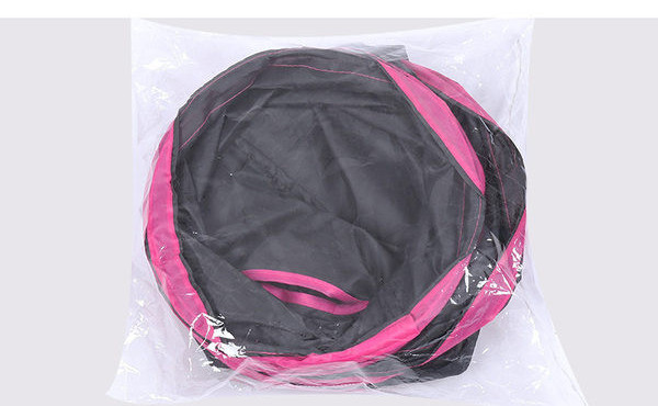 Meelelahutuslik tunnel kassidele