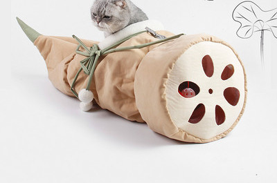 Kasside mängutunnel