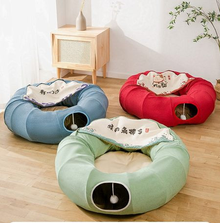 Tunnel kassidele - kaks mudelit