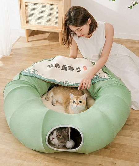 Tunnel kassidele - kaks mudelit