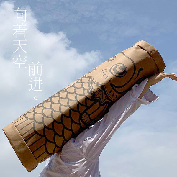 Tunel de hârtie pentru pisici - două culori