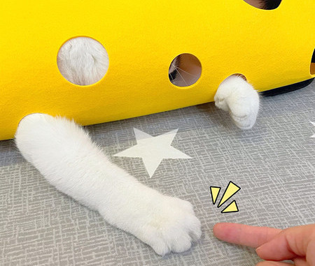 Τούνελ για παιχνίδι με γάτες