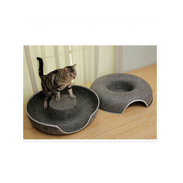 Apvalus tunelis katėms