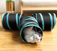 Τούνελ παιχνιδιού με γάτες