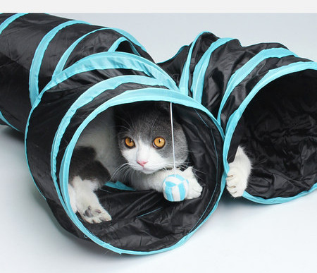 Τούνελ παιχνιδιού με γάτες