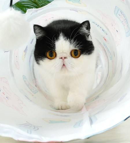 Τούνελ παχνίδι  - πολλά μοντέλα