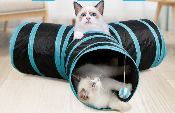 Τούνελ γάτας  με τρεις εξόδους