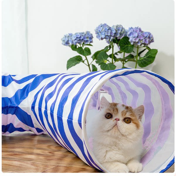 Σήραγγα γάτας σε διαφορετικά μοντέλα