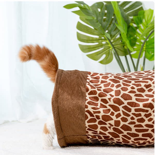 Σήραγγα γάτας σε διαφορετικά μοντέλα