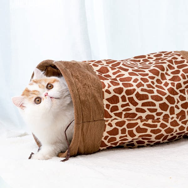 Σήραγγα γάτας σε διαφορετικά μοντέλα