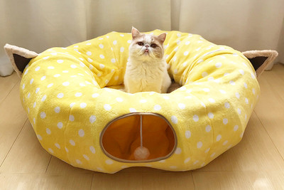 Σήραγγα κρεβατιού για γάτες