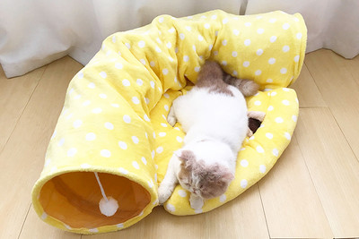 Σήραγγα κρεβατιού για γάτες