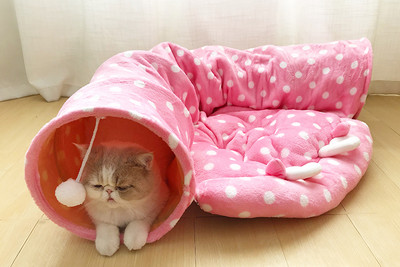 Σήραγγα κρεβατιού για γάτες