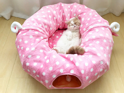 Σήραγγα κρεβατιού για γάτες