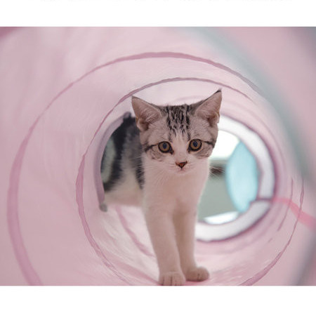 Παιχνίδι τούνελ με μενταγιόν για γάτες