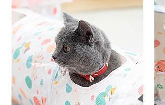 Tunel textil pentru pisica de joc - diferite modele si culori