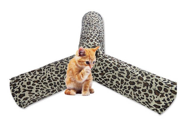 Tunnel kasside mängimiseks - kaks mudelit