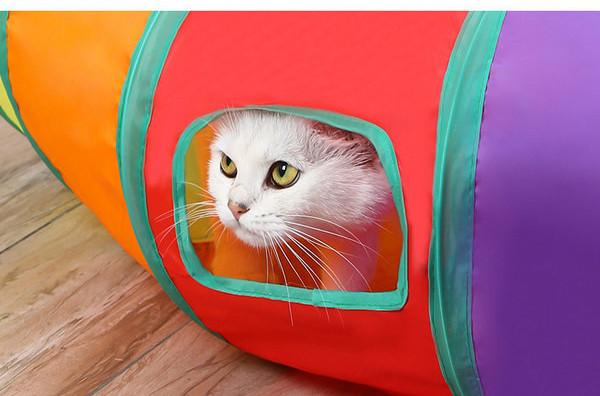 Tunel pentru pisici - mai multe modele