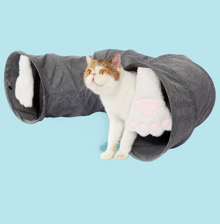 Tunel za mačke za igranje bilijara