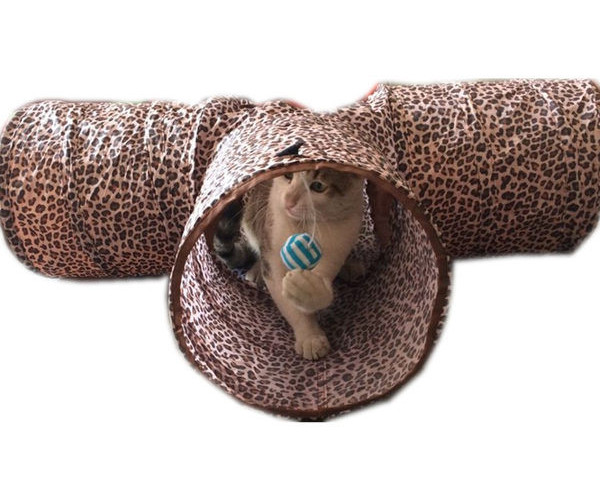 Lemmikloomale sobiv mänguasi